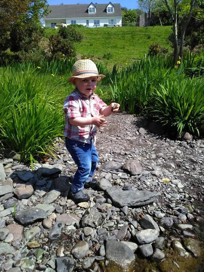 Shadow River Farm Annascaul Bagian luar foto