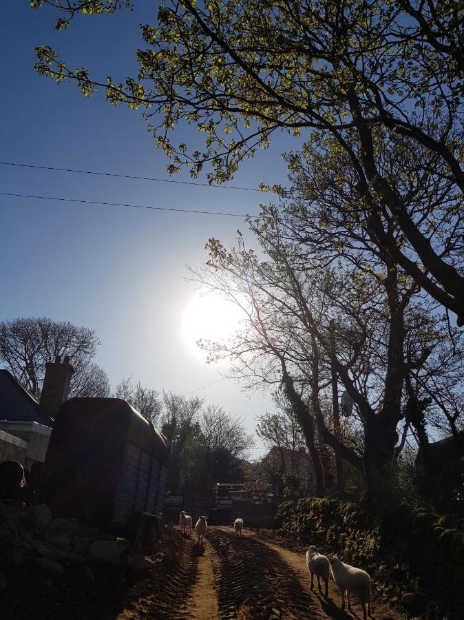 Shadow River Farm Annascaul Bagian luar foto